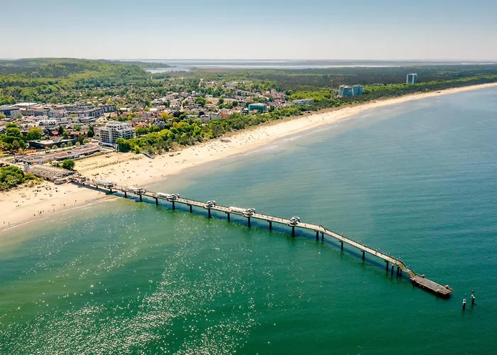 Sofia Balticus Check-in *